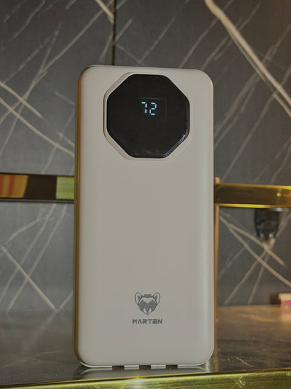 Power Bank (20,000 MAH)